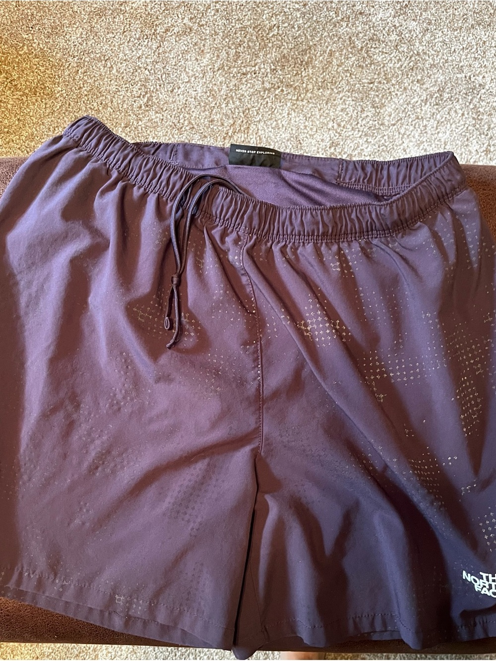 The North Face Men's Deep Purple Athletic Shorts